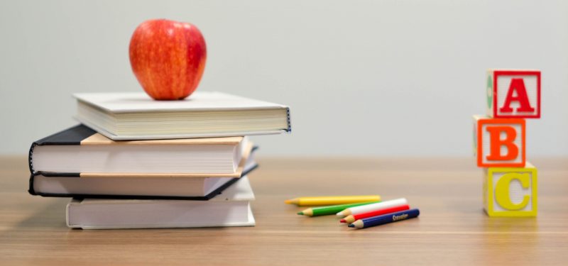 Carve-out des Instituut Pica aus Estro (über MBO)