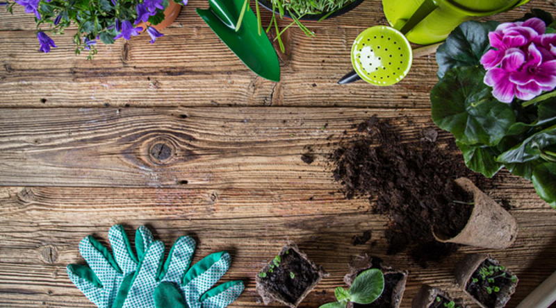 Verkauf von Gamm Vert garden centers