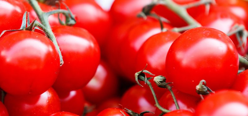 Erwerb der Care for Food Group durch Normec