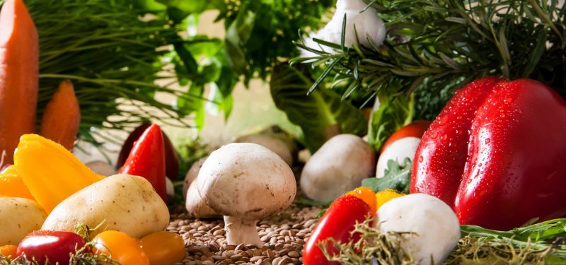 Verkauf von Ploegmakers Food Ingredients an Ardo
