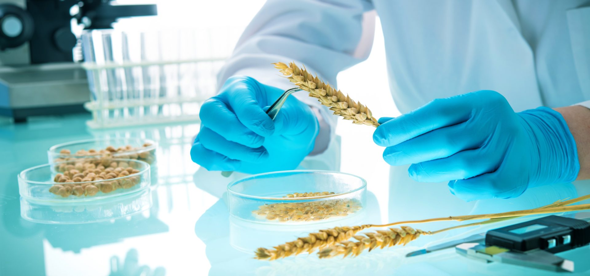 Testing, Inspection & Certification