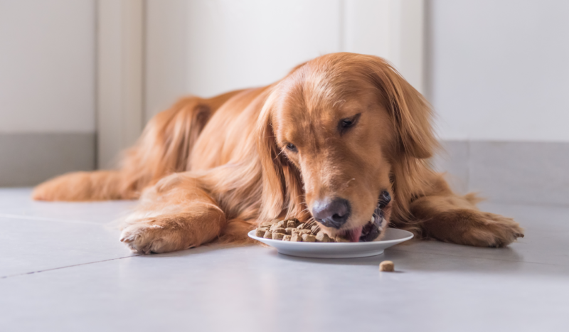 Verkoop van US -based Pet Flavors aan Bessemer PE