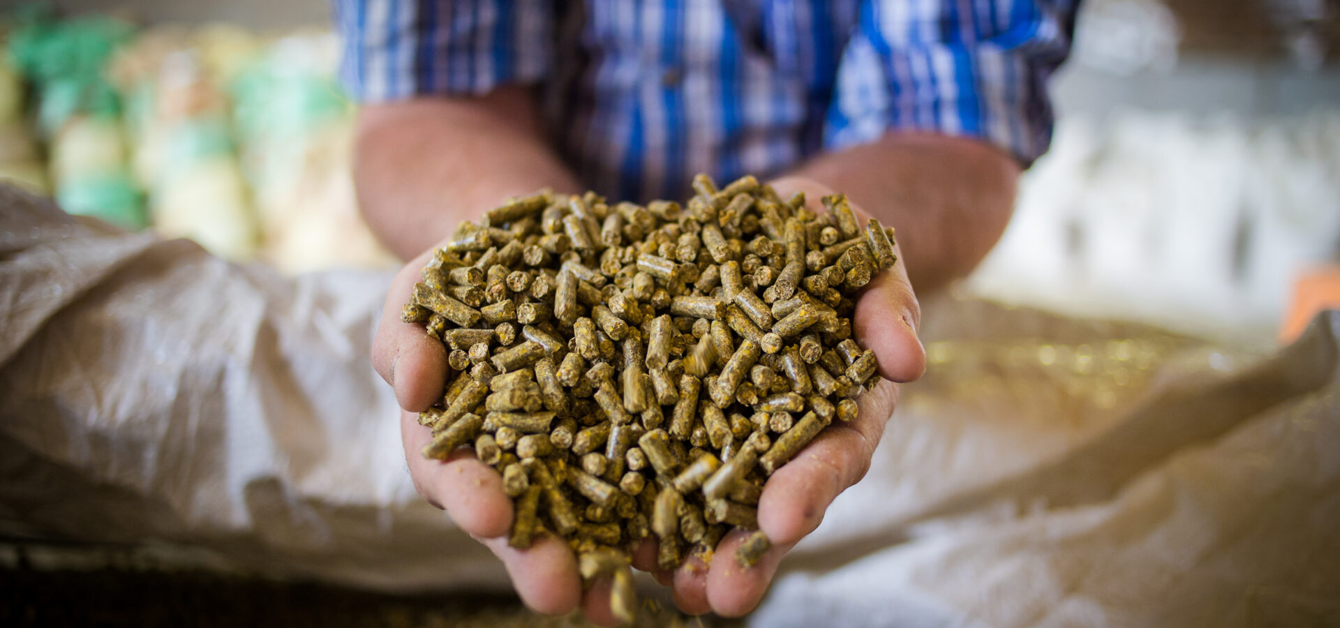 Private equity is leading the recovery in global animal health mergers and acquisitions