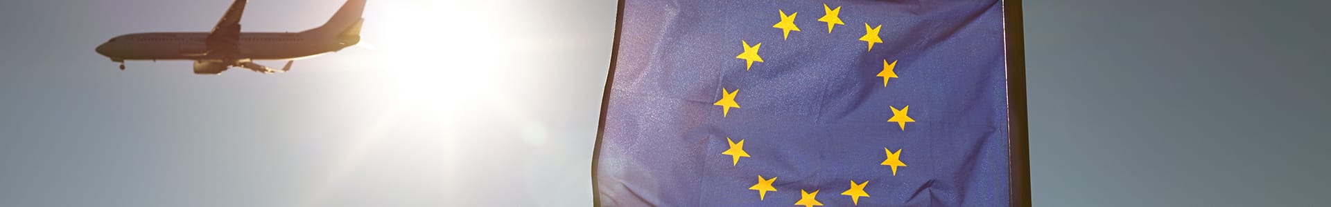 Brexit series header