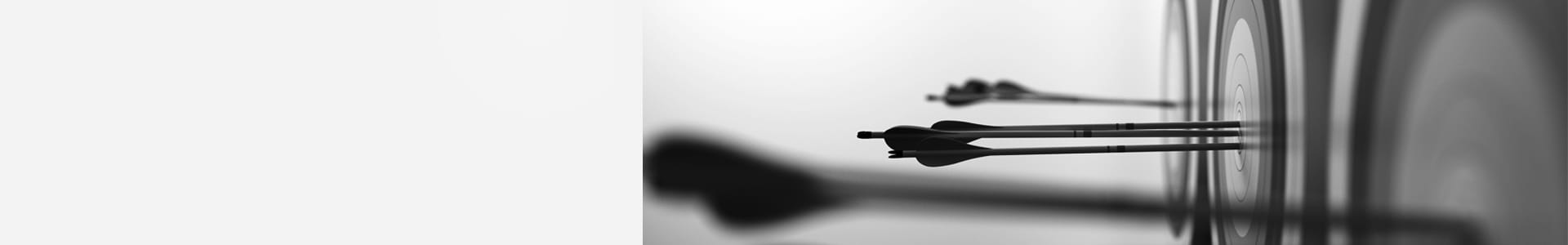 specialised investment opportunities image