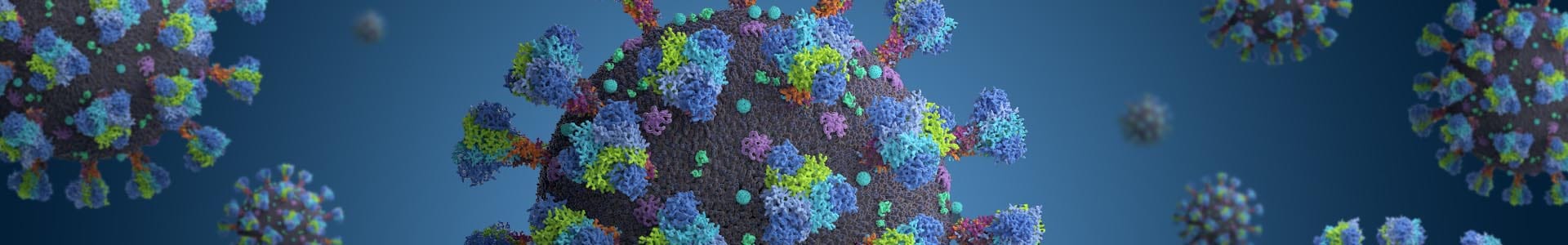 Coronavirus Covid-19
