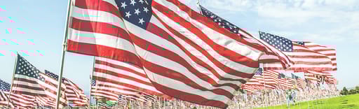 american flags