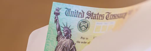 Federal treasury cheque