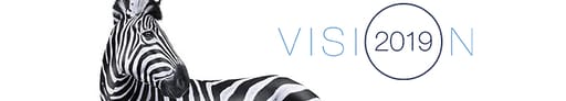 Vision