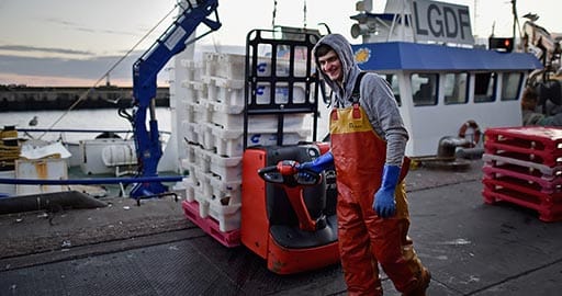 Scottish fishing in Peterhead