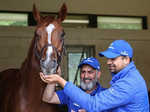 Masar