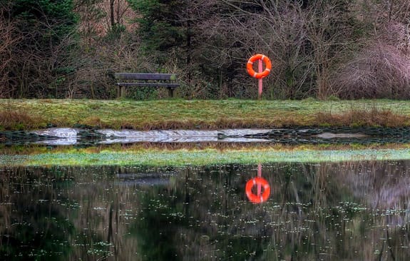 Lifebelt next to a lake