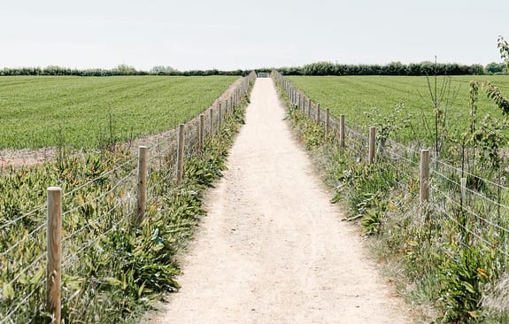 Dirt path running between two fields
