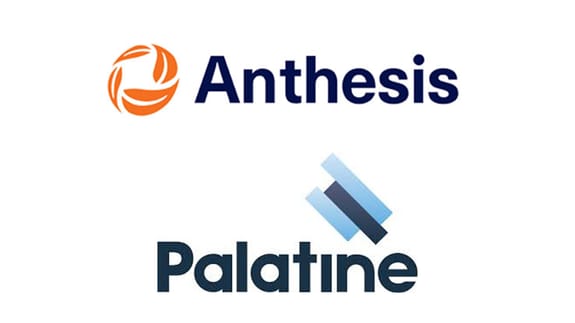 Palatine and Anthesis Logo
