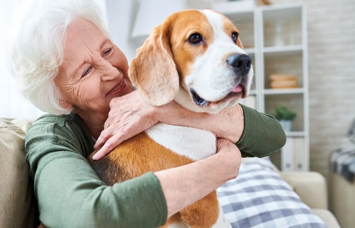 Elderly woman hugs her Beagle