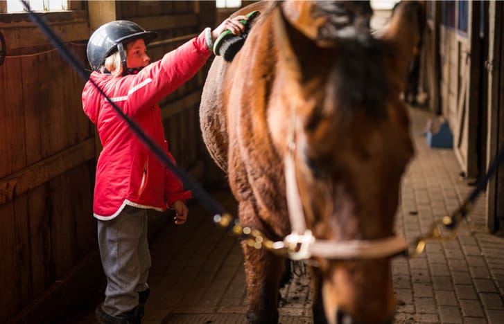 Young girl in riding gear brushes down her horse