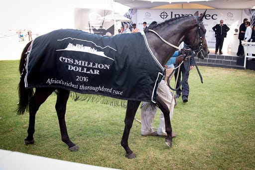 Investec derby