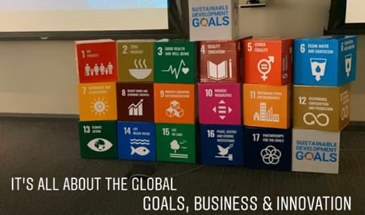 17 Sustainability Development goals