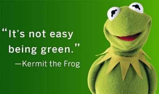 Kermit the frog quote 'It's not easy being green'