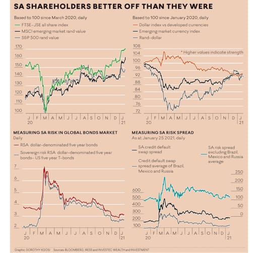 SA shareholders graph