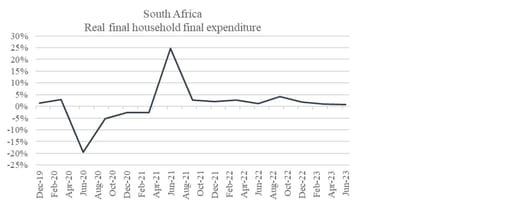 Chart 20: Household consumption trends in SA