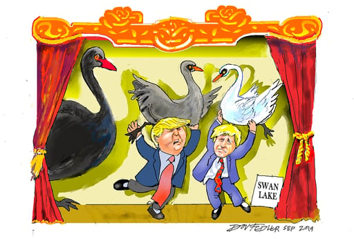 Swan Lake Cartoon