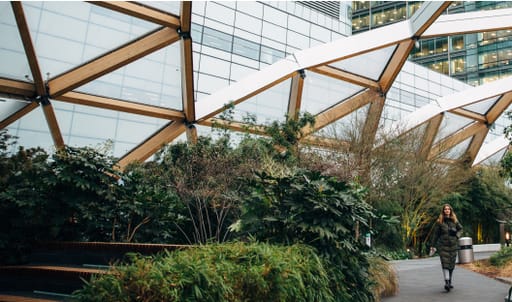 Inside garden area near office blocks