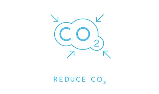 Spekboom is a carbon dioxide sponge