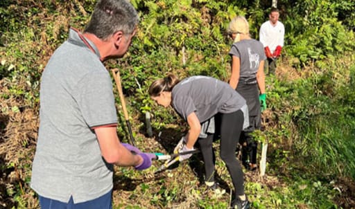 Jersey Mencap pond project