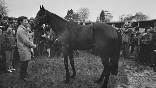 Mill Reef, the racehorse trained by Ian Balding, Clare's father, in 1973, with stable lad John Hallum.