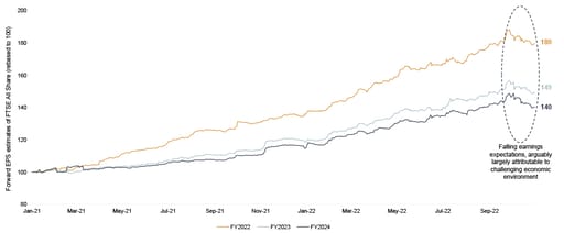 Overview of UK earnings forecast