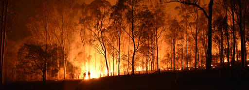 Forest fires in Queensland, Australia