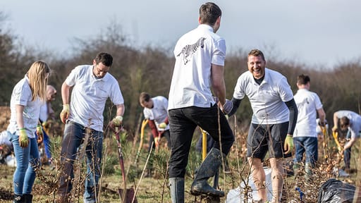 Investec’s Private Banking team planting trees with Trees for Cities earlier this year