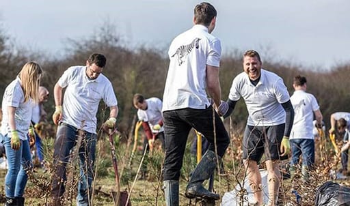 Investec corporate responsibility - Trees for City