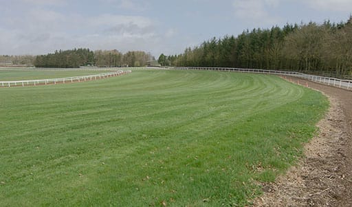 Tattenham Corner in Ballydoyle, Ireland