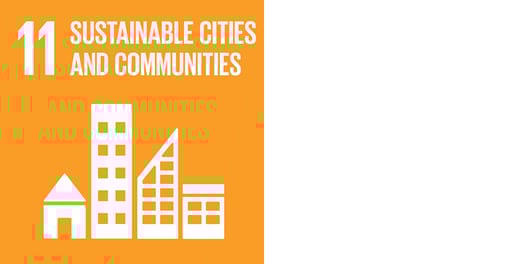 SDG11