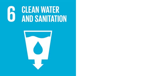 SDG6
