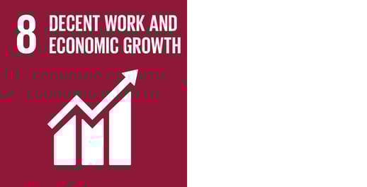 SDG8