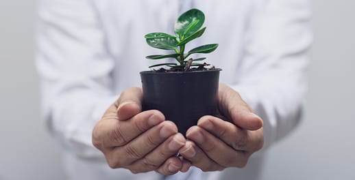 Man holding a pot plant in the palm of his hand