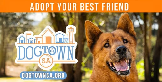 Dog Town