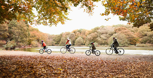 Family riding bicycles through autumn leaves next to a lake