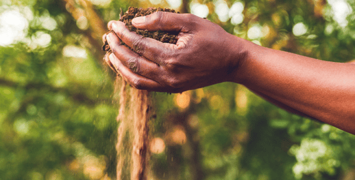 Hands holding soil 