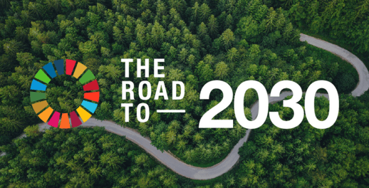 the road to 2030