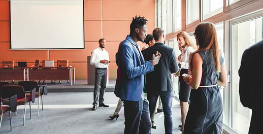 IT graduate programme