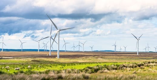 Wind turbines turning in a field of grass