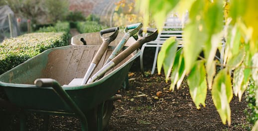 Wheelbarrow and spades