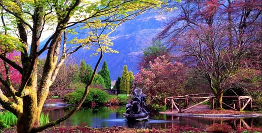 A pond scene in the Benmore Botanic Garden in Strath Eachaig at the foot of Beinn Mhòr