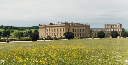 Looking across a meadow of flowers towards Chatworth House