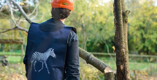 Investec volunteer tree clearing