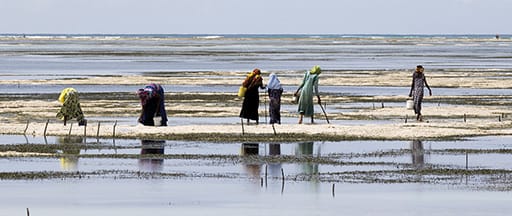 The economics of water - Investec Wealth and Investment article